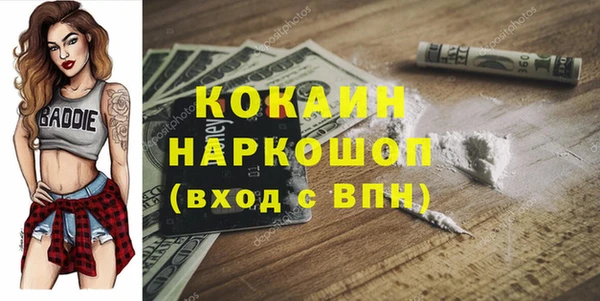 гидра Алексеевка