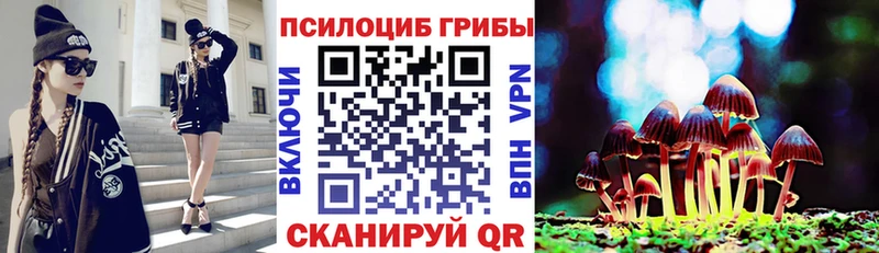 Галлюциногенные грибы GOLDEN TEACHER  darknet формула  Гаврилов Посад 